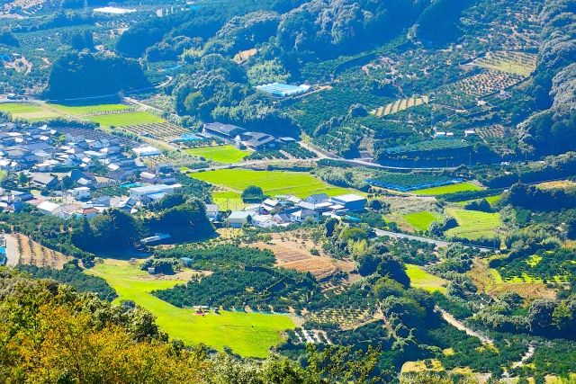 浜松市の風景